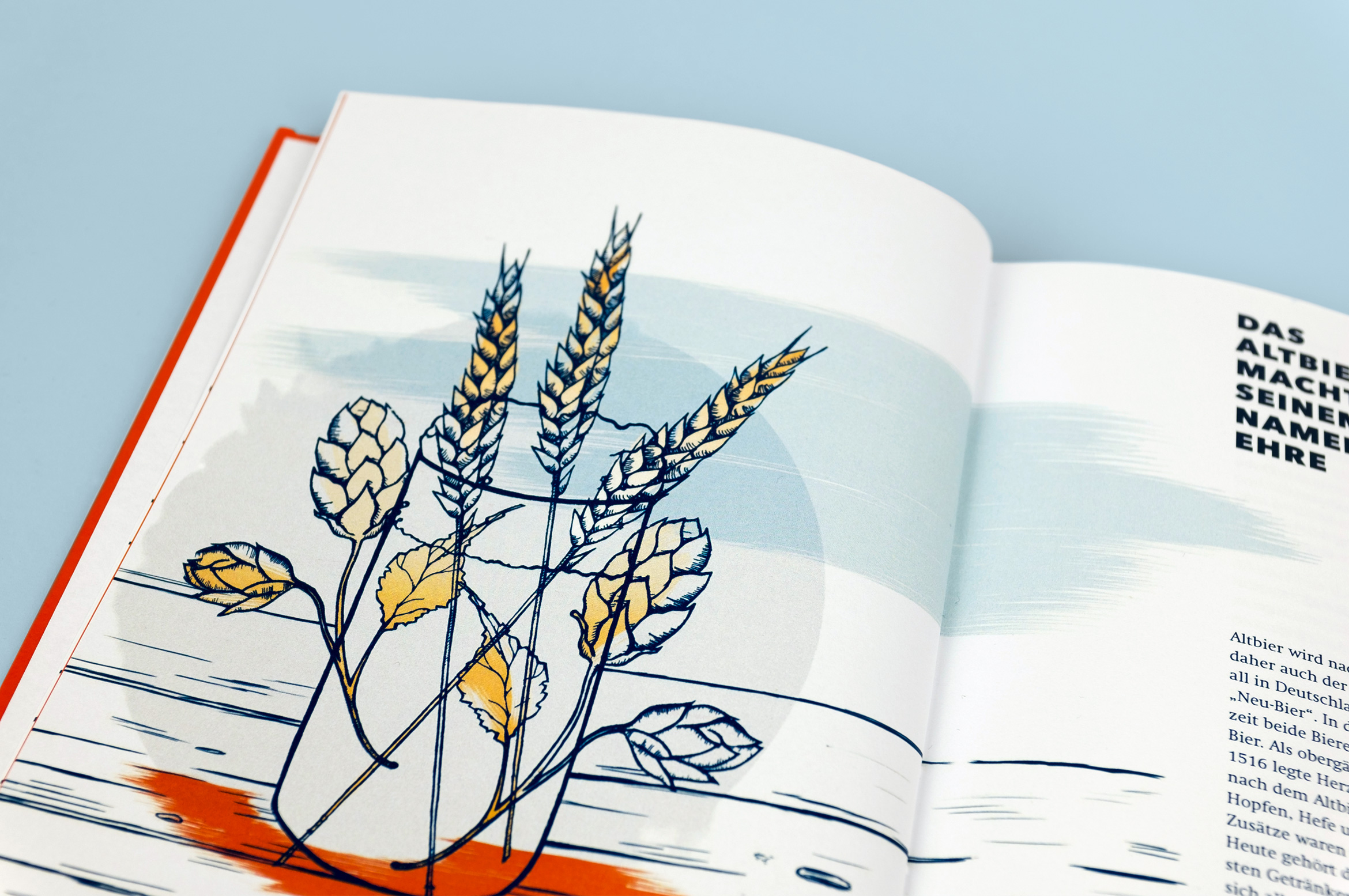 ddorfbuch3